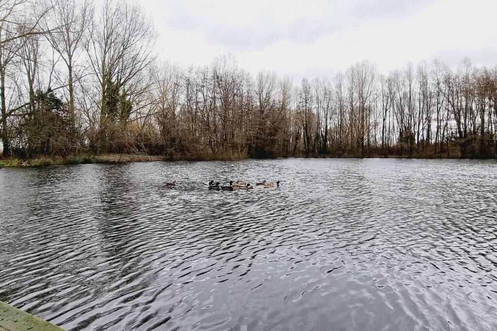 Villa *L'Ecrin De L'Etang* Depaysement Assure Bourbourg Exterior foto